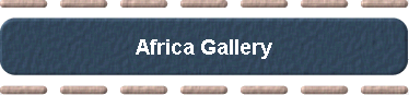  Africa Gallery 