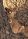 Litkids.GIF (6422 bytes)