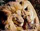 Tend.GIF (6172 bytes)