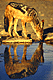 jack.GIF (5417 bytes)