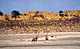 nossobgemsbok.GIF (4605 bytes)