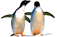 pengm2cp