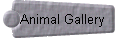  Animal Gallery 