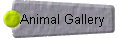  Animal Gallery 