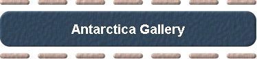  Antarctica Gallery 