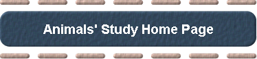  Animals' Study Home Page 